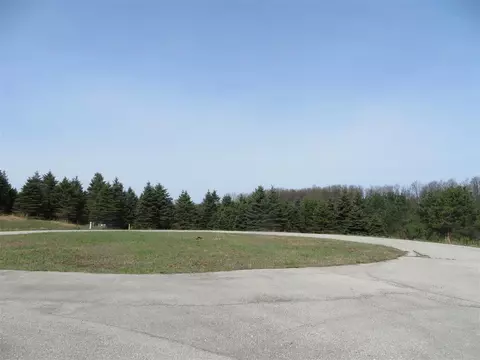 1 Spruce Holw, Fife Lake, MI 49633
