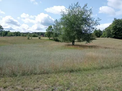 11811 M 72 #LOT C, Williamsburg, MI 49690