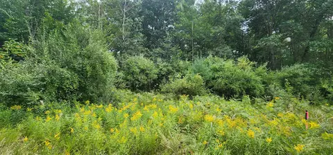 Parcel C River, Manistee, MI 49660 photo 2