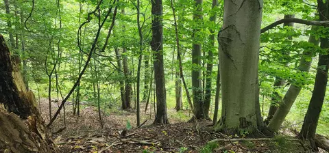 Parcel C River, Manistee, MI 49660 photo 6