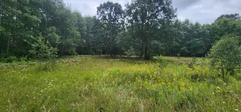 Parcel C River, Manistee, MI 49660