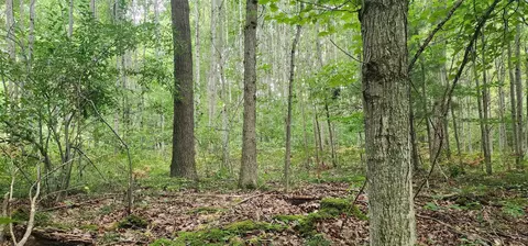 Parcel C River, Manistee, MI 49660 photo 8