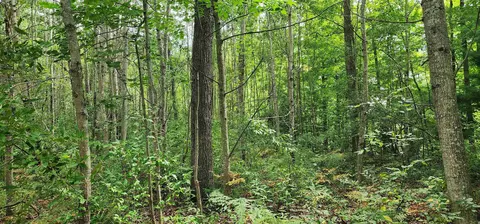 Parcel C River, Manistee, MI 49660 photo 10