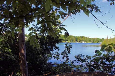 00 Cedar, Central Lake, MI 49622