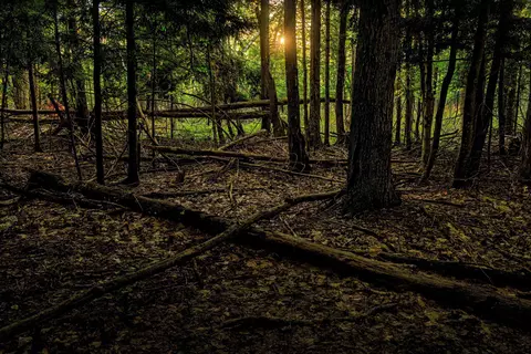 00 Fall, Grawn, MI 49637 photo 5