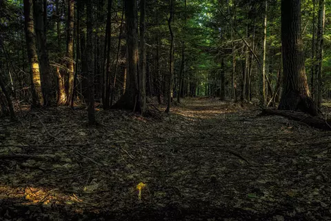 00 Fall, Grawn, MI 49637 photo 2