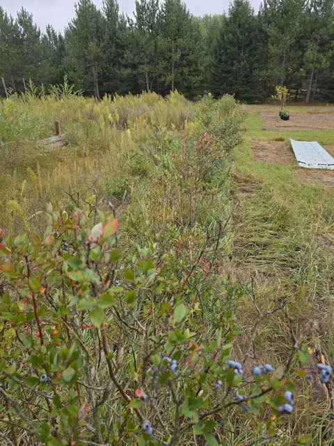 Other - 6402 S 23 12, Boon, MI 49618 photo 38 of 38