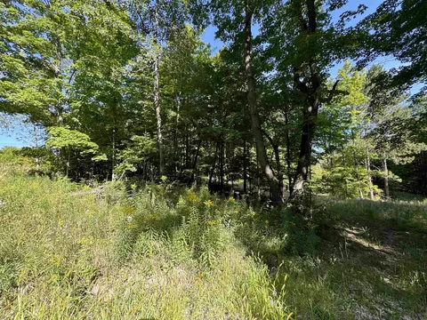 23 Mile, Tustin, MI 49688 photo 4