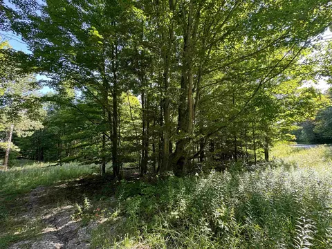 23 Mile, Tustin, MI 49688 photo 5