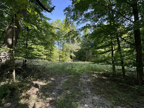 23 Mile, Tustin, MI 49688 photo 6
