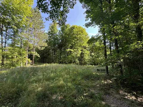 23 Mile, Tustin, MI 49688 photo 7