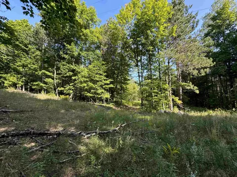 23 Mile, Tustin, MI 49688 photo 8