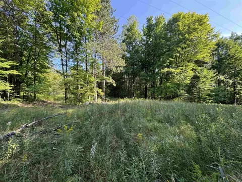 23 Mile, Tustin, MI 49688 photo 9