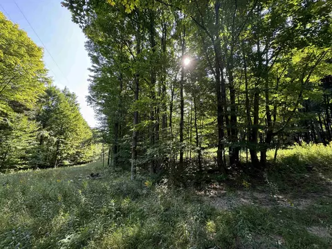 23 Mile, Tustin, MI 49688
