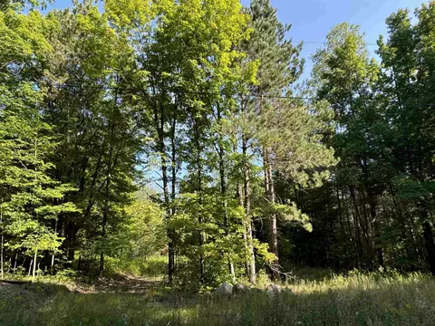 23 Mile, Tustin, MI 49688 photo 10
