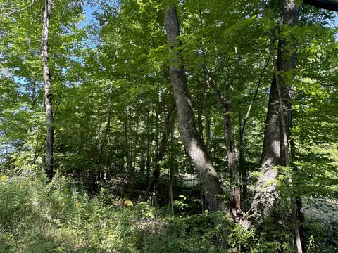 23 Mile, Tustin, MI 49688 photo 11