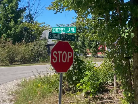 lot134 E Cherry #LOT : 134, Cedar, MI 49621 photo 7