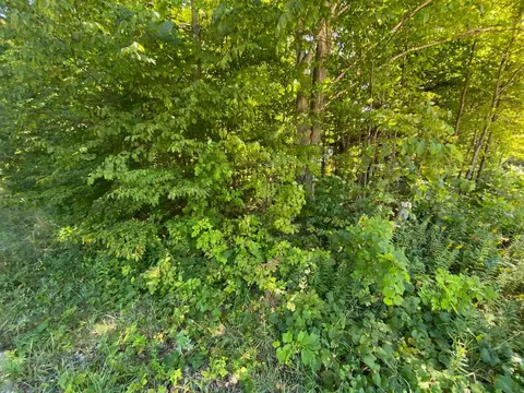 lot134 E Cherry #LOT : 134, Cedar, MI 49621 photo 5