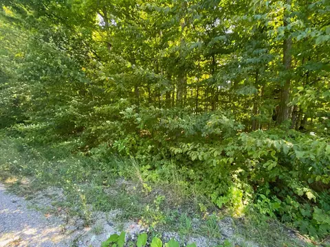 lot134 E Cherry #LOT : 134, Cedar, MI 49621