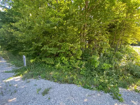 lot134 E Cherry #LOT : 134, Cedar, MI 49621 photo 3