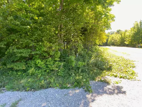 lot134 E Cherry #LOT : 134, Cedar, MI 49621 photo 4