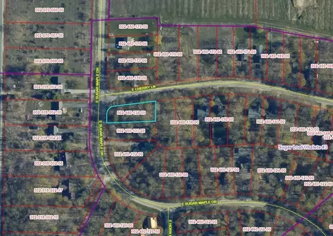 lot134 E Cherry #LOT : 134, Cedar, MI 49621 photo 2