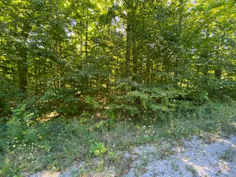 lot134 E Cherry #LOT : 134, Cedar, MI 49621 photo 6