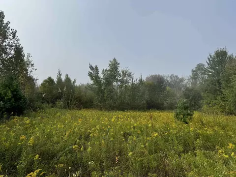 tbd S Leaton, Shepherd, MI 48883