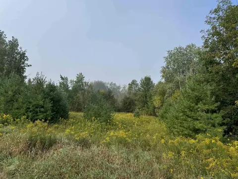 tbd S Leaton, Shepherd, MI 48883 photo 2