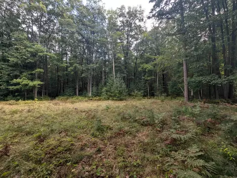 N/a E Michigan, Au Gres, MI 48703