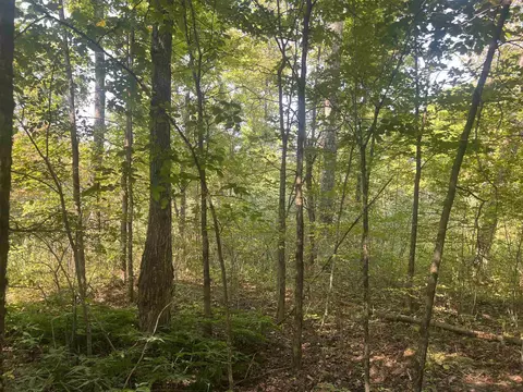 00 30 14, Boon, MI 49618 photo 4