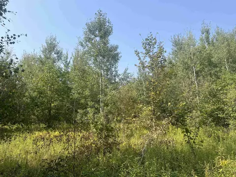00 30 14, Boon, MI 49618 photo 9