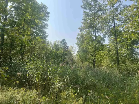 00 30 14, Boon, MI 49618 photo 6
