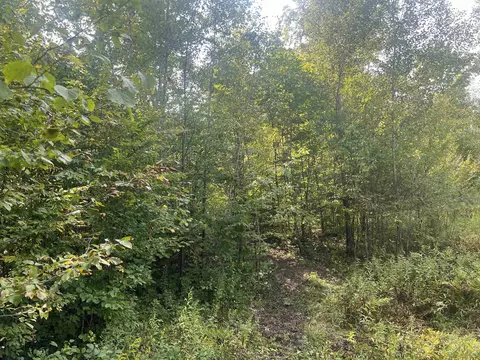 00 30 14, Boon, MI 49618 photo 8