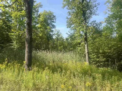 00 30 14, Boon, MI 49618 photo 2
