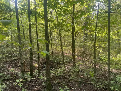 00 30 14, Boon, MI 49618 photo 3