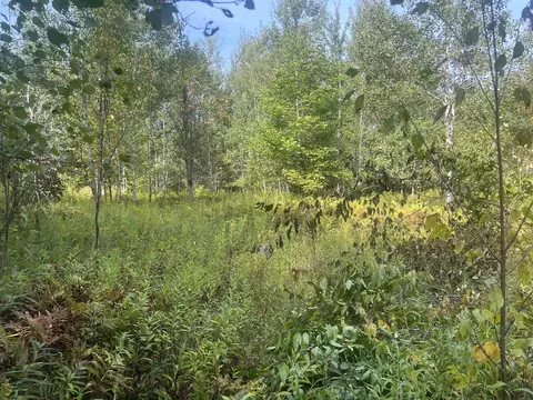 00 30 14, Boon, MI 49618