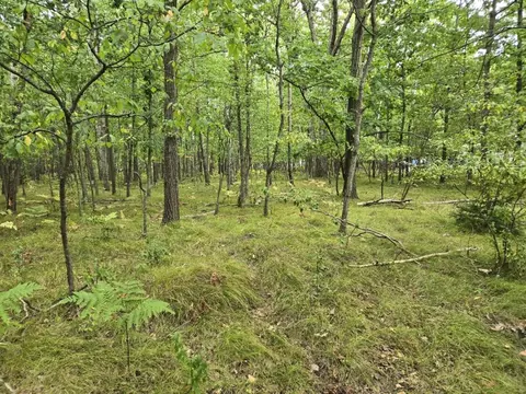 1009 Castle #LOT 88, Lake Isabella, MI 48893