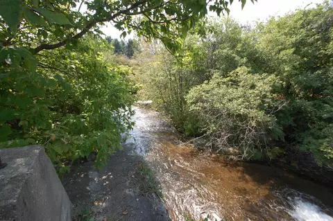 2 East Michigan 55 #LOT : 2B, West Branch, MI 48661