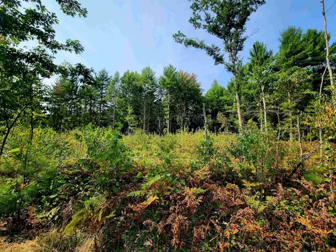 39 20 Acres Lindroos, Kaleva, MI 49645