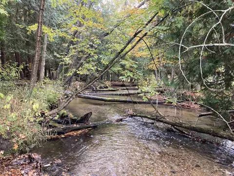 Vl 3.08 Acres Wilderness, Kaleva, MI 49645