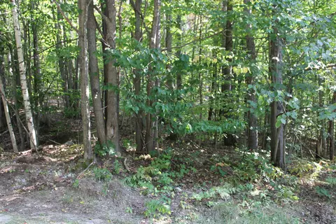 Sunburry, Kalkaska, MI 49646