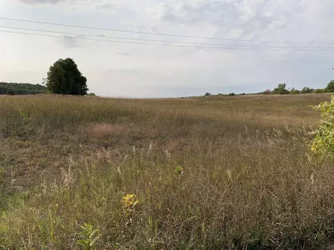lot43 44 Edwin, Grawn, MI 49637