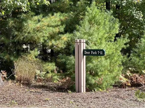 10 Deer, Glen Arbor, MI 49636