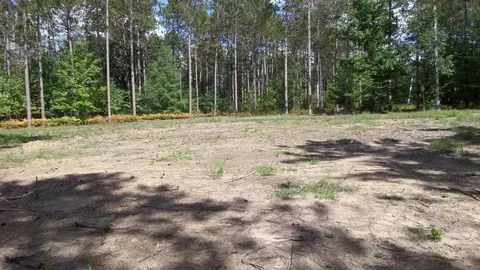 11382 Emerald, Interlochen, MI 49643