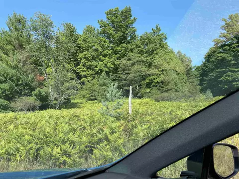 V/l Garvin, Interlochen, MI 49643 photo 6