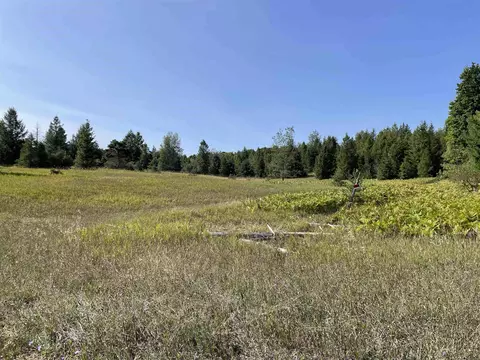 V/l Garvin, Interlochen, MI 49643 photo 7