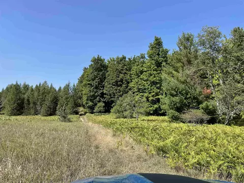 V/l Garvin, Interlochen, MI 49643 photo 9