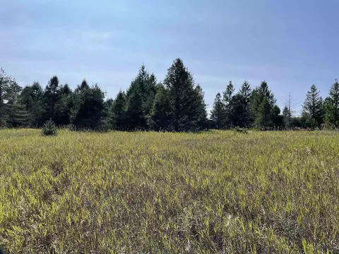 V/l Garvin, Interlochen, MI 49643 photo 8