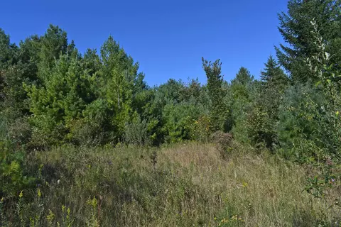 00 Kobs, Tawas City, MI 48763
